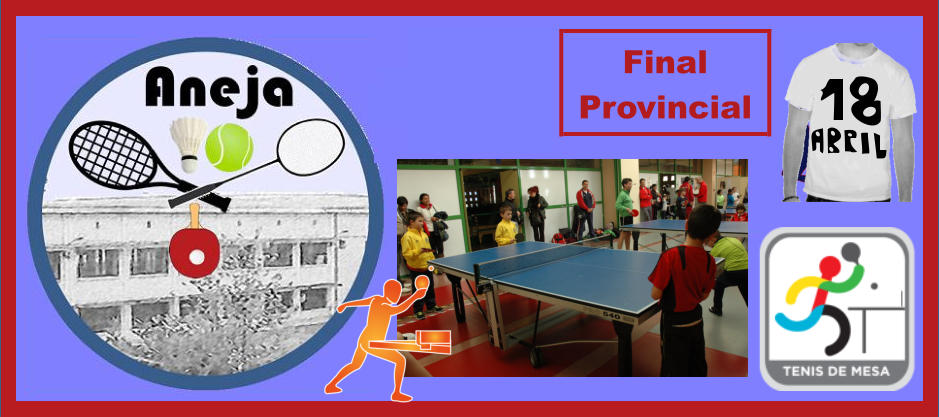 Final Local Segovia Final Provincial