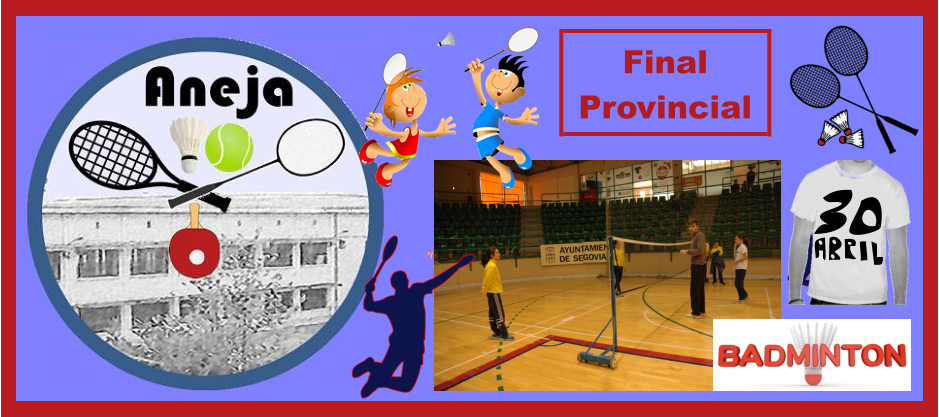 Final Local Segovia Final Provincial