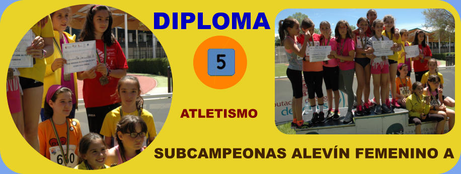 SUBCAMPEONAS ALEVN FEMENINO A