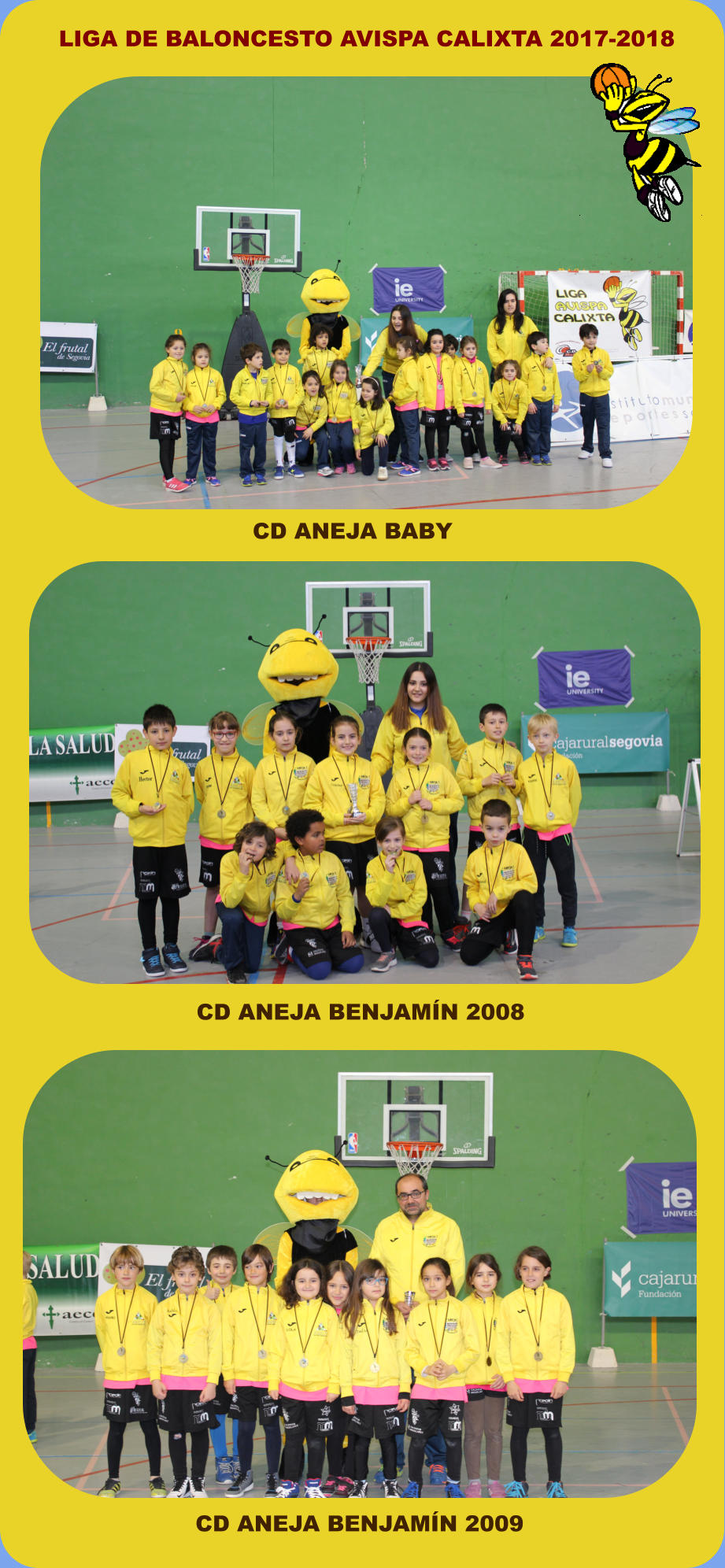 CD ANEJA BABY LIGA DE BALONCESTO AVISPA CALIXTA 2017-2018 CD ANEJA BENJAMÍN 2008 CD ANEJA BENJAMÍN 2009