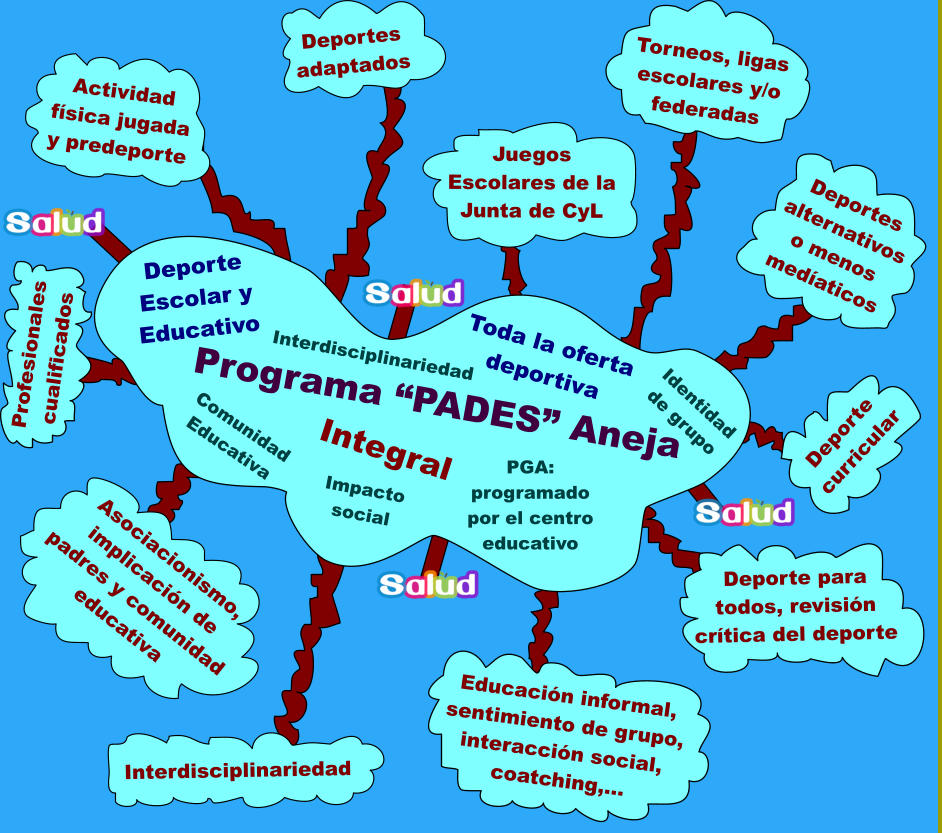 Programa “PADES” Aneja Deporte Escolar y Educativo Integral Comunidad Educativa PGA: programado por el centro educativo Impacto social Identidad de grupo Interdisciplinariedad Toda la oferta deportiva Actividad física jugada y predeporte Deportes adaptados Juegos Escolares de la Junta de CyL Torneos, ligas escolares y/o federadas Deportes alternativos o menos medíaticos Asociacionismo, implicación de padres y comunidad educativa Interdisciplinariedad Educación informal, sentimiento de grupo, interacción social, coatching,... Deporte para todos, revisión crítica del deporte Deporte curricular Profesionales cualificados