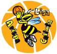 Liga Avispa Calixta 2013