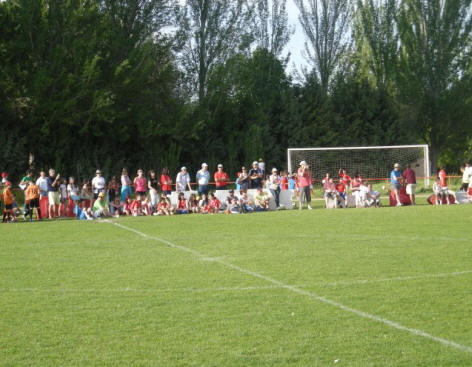 Numeroso público siguiendo los partidos de los prebenjamines