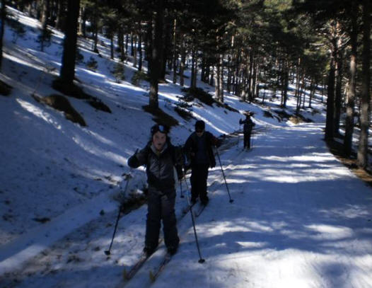 Por el circuito de esquí de fondo de Navafría