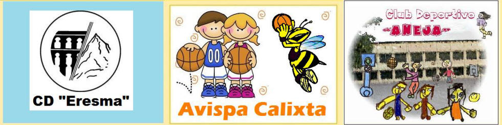 Participación de CDEresma-CDAneja en la Liga Avispa Calixta 2012