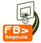 Logo Delegación Segoviana de Baloncesto