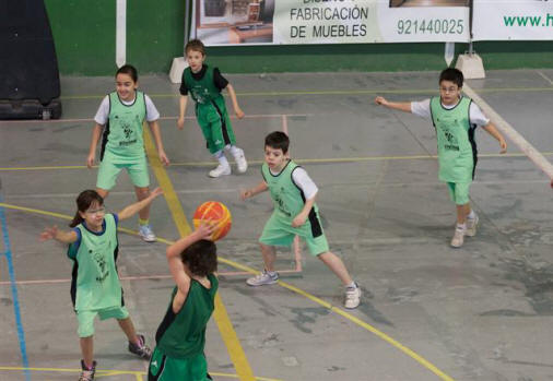 Equipo Benjamín Avispa Calixta