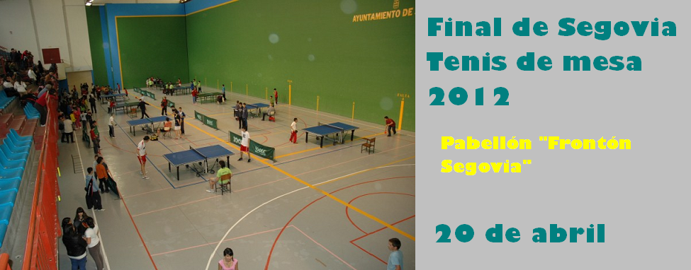 Final de Segovia de Tenis de Mesa escolar 2012